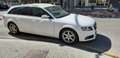 Audi A4 A4 Avant 2.0TDI DPF 170 Blanco - thumbnail 4