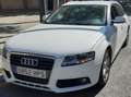 Audi A4 A4 Avant 2.0TDI DPF 170 Blanco - thumbnail 7