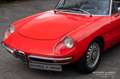 Alfa Romeo Spider Duetto 1600 Rot - thumbnail 21