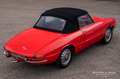 Alfa Romeo Spider Duetto 1600 Rot - thumbnail 8