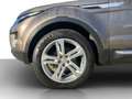 Land Rover Range Rover Evoque 2.2 Prestige PANO*LEDER*XENON*NAV*ACC*KAMERA*PD... Brun - thumbnail 18