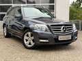 Mercedes-Benz GLK 250 4 MATIC*1.HAND*MEMORY*INNOVATION*SPORT Grau - thumbnail 3