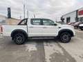 DR Automobiles PK8 PK8 2.0 turbo diesel 4x4 136cv Weiß - thumbnail 6