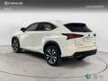 Lexus NX 300h F Sport 4WD Panorámico Weiß - thumbnail 2