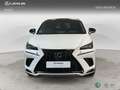 Lexus NX 300h F Sport 4WD Panorámico Weiß - thumbnail 5