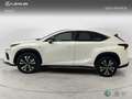 Lexus NX 300h F Sport 4WD Panorámico Weiß - thumbnail 3
