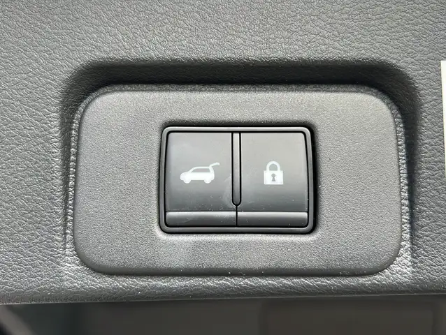 Nissan X-Trail view 10