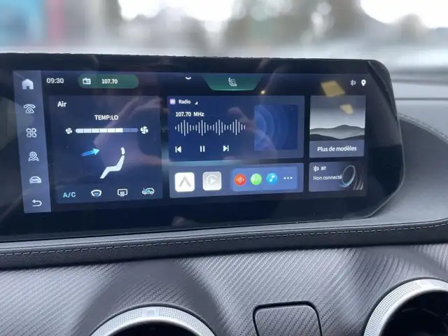 Forthing T5 Evo view 9