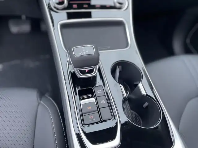 Forthing T5 Evo view 11