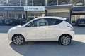 Lancia Ypsilon Ypsilon 1.2 69 CV 5 porte Gold Bianco - thumbnail 8