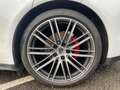 Porsche Panamera 4S V6 3.0 440 Executive PDK Ga Blanc - thumbnail 16