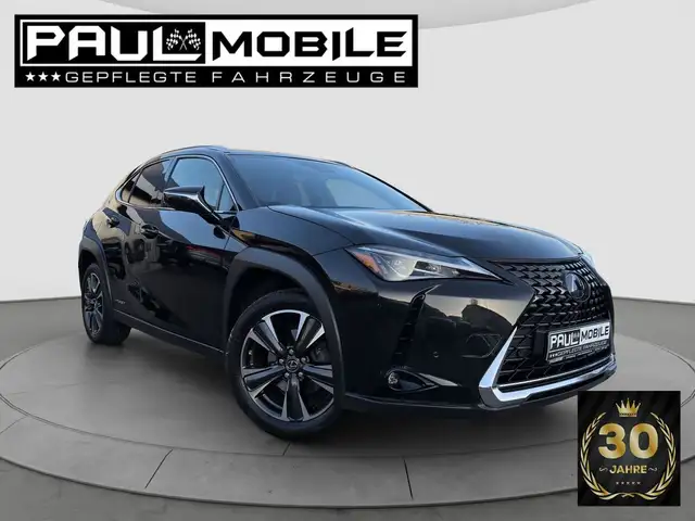 Lexus UX 250 h Navi ACC LED R-Cam PDC v+h