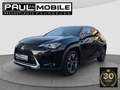 Lexus Sonstige UX 250 h Navi ACC LED R-Cam PDC v+h Schwarz - thumbnail 3