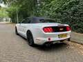Ford Mustang Mustang 2.3 EcoBoost Performance GT kit Wit - thumbnail 16