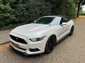 Ford Mustang Mustang 2.3 EcoBoost Performance GT kit Wit - thumbnail 11