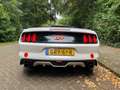 Ford Mustang Mustang 2.3 EcoBoost Performance GT kit Wit - thumbnail 7