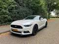 Ford Mustang Mustang 2.3 EcoBoost Performance GT kit Wit - thumbnail 18