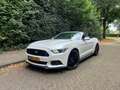 Ford Mustang Mustang 2.3 EcoBoost Performance GT kit Wit - thumbnail 1