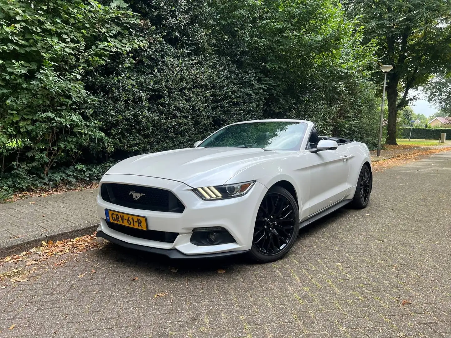 Ford Mustang Mustang 2.3 EcoBoost Performance GT kit Wit - 1