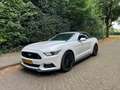 Ford Mustang Mustang 2.3 EcoBoost Performance GT kit Wit - thumbnail 12