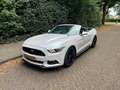 Ford Mustang Mustang 2.3 EcoBoost Performance GT kit Wit - thumbnail 4