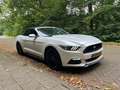 Ford Mustang Mustang 2.3 EcoBoost Performance GT kit Wit - thumbnail 17