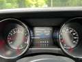 Ford Mustang Mustang 2.3 EcoBoost Performance GT kit Wit - thumbnail 21