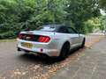 Ford Mustang Mustang 2.3 EcoBoost Performance GT kit Wit - thumbnail 15