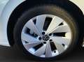 Volkswagen Golf 1.5 TSI eHYBRID LIFE LM17 SITZHZG LED PDC Weiß - thumbnail 7