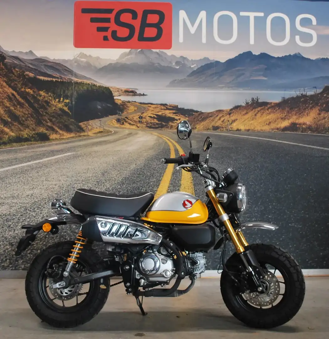 Honda Monkey 125 - 1