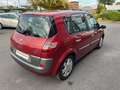 Renault Scenic II 1.9DCI Confort Dynamique Mauve - thumbnail 5