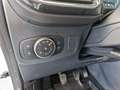 Ford Puma 1.0 EcoBoost Mild Hybrid Titanium S/S (EURO Blanc - thumbnail 20
