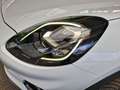 Ford Puma 1.0 EcoBoost Mild Hybrid Titanium S/S (EURO Blanc - thumbnail 21