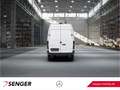 Mercedes-Benz Sprinter 316 CDI KA L2H2 4x4 Standh BOTT AHK3,5t Weiß - thumbnail 6
