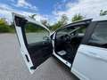Ford B-Max Titanium |1.Besitz | Serviceheft | 84tkm |Garantie Weiß - thumbnail 32