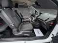Ford B-Max Titanium |1.Besitz | Serviceheft | 84tkm |Garantie Weiß - thumbnail 19
