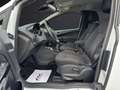 Ford B-Max Titanium |1.Besitz | Serviceheft | 84tkm |Garantie Weiß - thumbnail 9