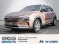 Hyundai NEXO Premium 8-Fach SHZ LED SITZBELÜFTUNG ACC Bronce - thumbnail 1