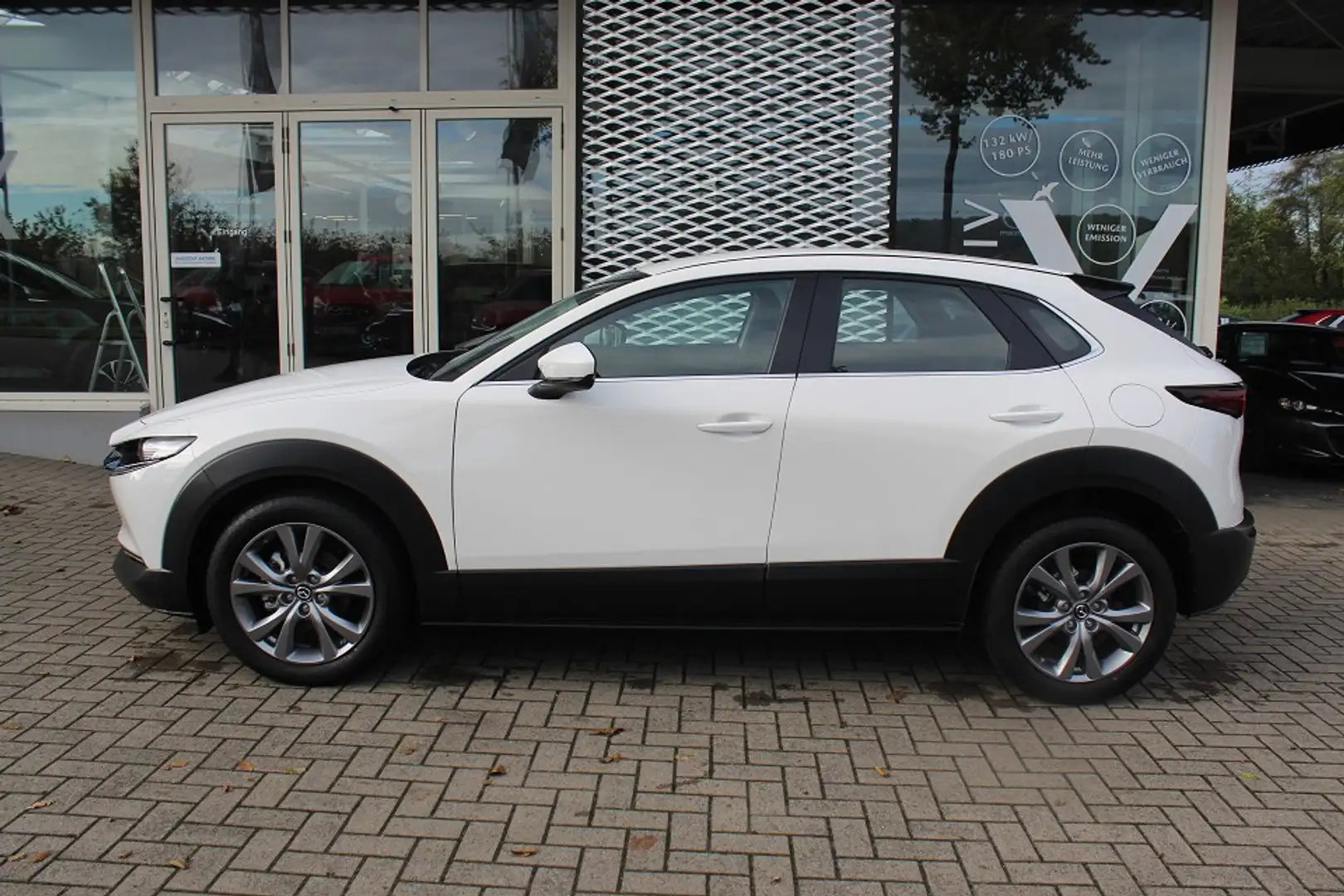 Mazda CX-30 M-Hybrid Selection G-150 LEDER-S PRE-P DES-P el.Si Wit - 2