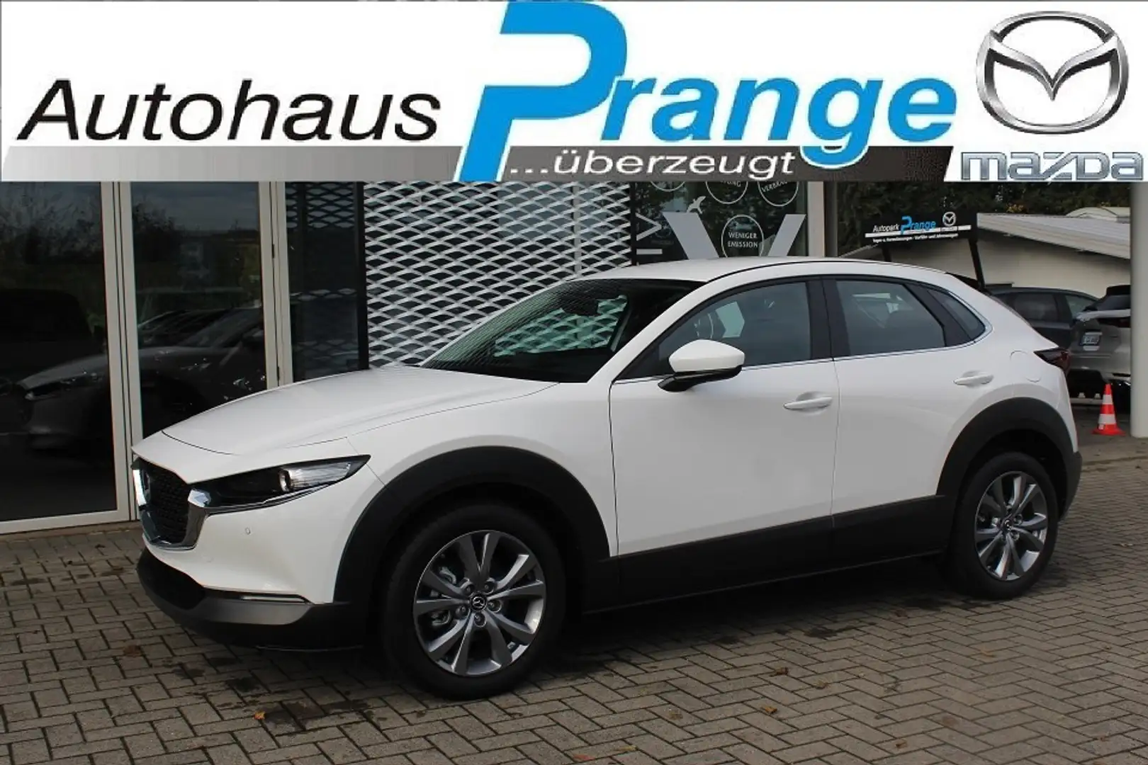 Mazda CX-30 M-Hybrid Selection G-150 LEDER-S PRE-P DES-P el.Si Wit - 1