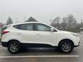 Hyundai iX35 1,7 CRDi GO *Sehr gepflegt/1.Besitz* Weiß - thumbnail 8
