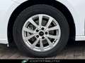 Ford Tourneo Connect Grand Tourneo Connect 2.0 EcoBlue 122 CV Titanium Bianco - thumbnail 5
