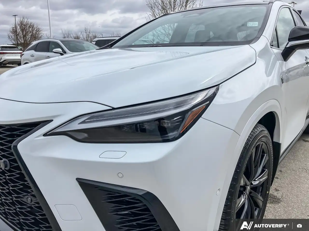 Lexus NX снимка Lexus NX