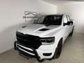 Dodge RAM Quad Cab Laramie Night Edition Sport // BLICKFANG Weiß - thumbnail 3