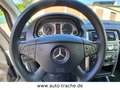 Mercedes-Benz B 170 B -Klasse  SR+WR  Klima  PDC  SH Bleu - thumbnail 12