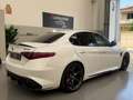 Alfa Romeo Giulia Giulia 2.9 V6 Bi-Turbo AT8 Quadrifoglio Blanc - thumbnail 15