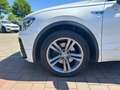 Volkswagen Tiguan 2.0 TDI DSG R-Line 4Motion*AHK*LEDER*360° Weiß - thumbnail 10