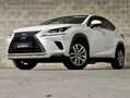 Lexus NX 300 300h Weiß - thumbnail 7