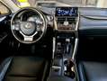 Lexus NX 300 300h Weiß - thumbnail 20