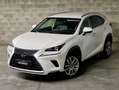 Lexus NX 300 300h Weiß - thumbnail 17